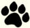 Golden Doodle, ASDR Registered Puppy, AKC Registered Puppy, Crystal Falls, Michigan