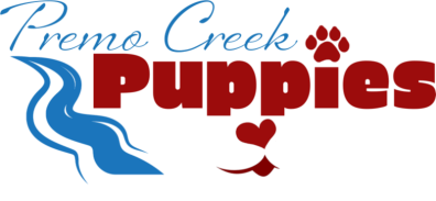 Premo Creek Puppies Aussie Breeder Michigan